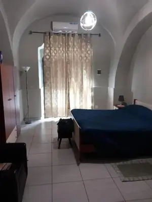 Letto o letti in una camera di Modern Studio in Catania with Air Conditioning