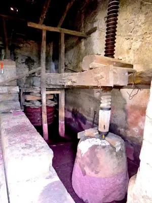 Planimetria di Casa La Vigna