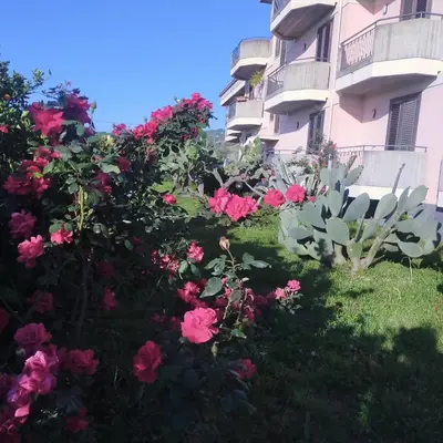 Giardino di aranceto dell'Etna