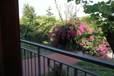 Giardino di aranceto dell'Etna