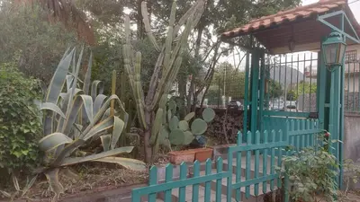 Giardino di Villa Rosa delle rose