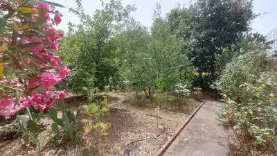 Giardino di Villa Rosa delle rose