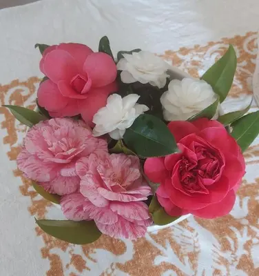 Planimetria di Villa Rosa delle rose