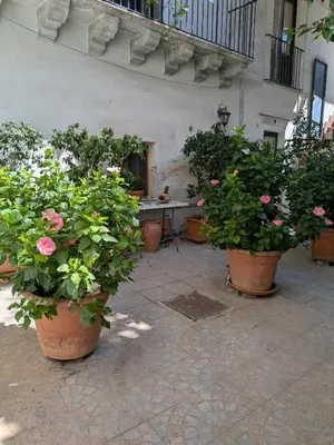 Giardino di Bellini Space 1