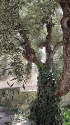 Paesaggio naturale nelle vicinanze dell'affittacamere