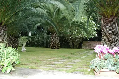 Giardino di Villa Solaria