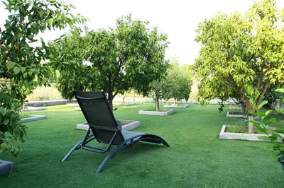 Giardino di DOMUS ULIVI LUXURY ROOMS Moresca