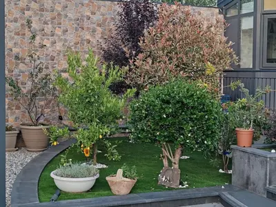 Giardino di DOMUS ULIVI LUXURY ROOMS Moresca