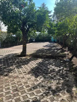 Planimetria di Alhambra 