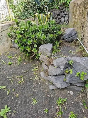 Giardino di Etnamare Elite