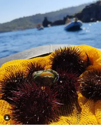 Paesaggio naturale nelle vicinanze dell'appartamento