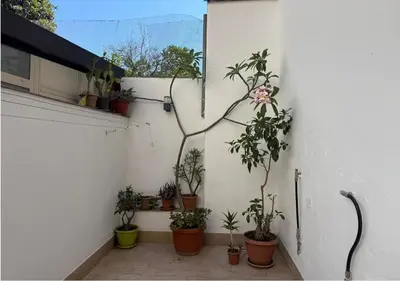 Giardino di Donna Lola