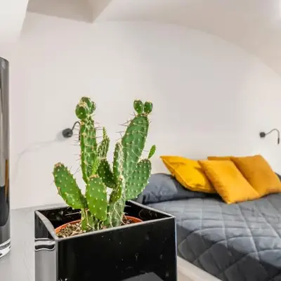 GuestHost - Central and Bright Apartment Catania