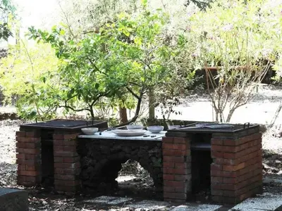 Giardino di Cozy Apartment in Lavinaio, 100 m², Garden View