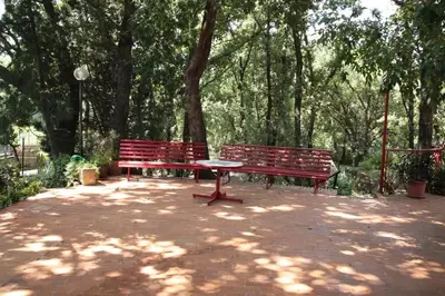 Giardino di Cozy Apartment in Lavinaio, 100 m², Garden View
