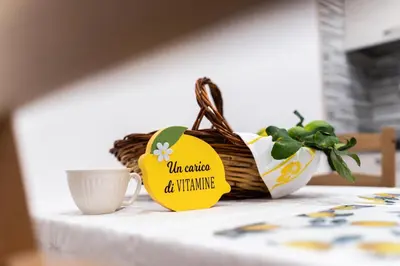 Certificato, attestato, insegna o altro documento esposto da Casa del Limone Lemonhousect