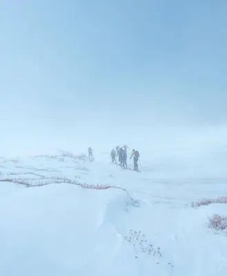Lavica durante l'inverno