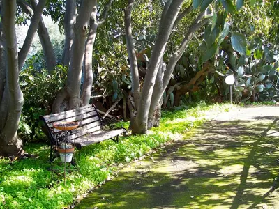 Giardino di Agriturismo Il Limoneto Acireale