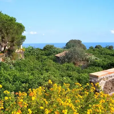 Agriturismo Il Limoneto Acireale
