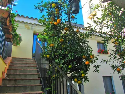 Edificio in cui si trova il bed & breakfast
