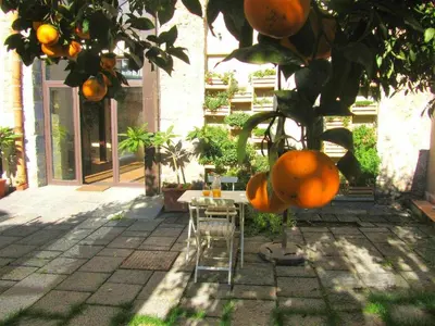 Giardino di B&B - ComeinSicily CortedeiLimoni - Charming & Relaxing Luxury