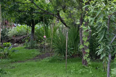 Giardino di Casa Macchia