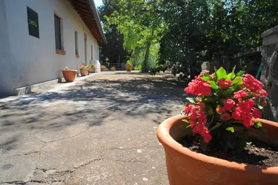 Giardino di Etna Paradise locazioni brevi