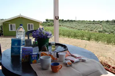 Cibo presso l'appartamento o nelle vicinanze