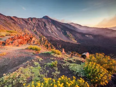 Paesaggio naturale nelle vicinanze della casa vacanze