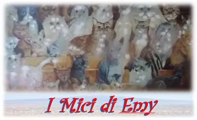 Planimetria di I Mici di Emy