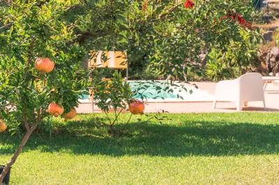 Giardino di villa dei limoni Etna-mare