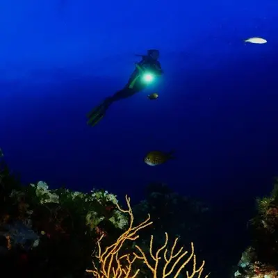 Paesaggio naturale nelle vicinanze della casa vacanze