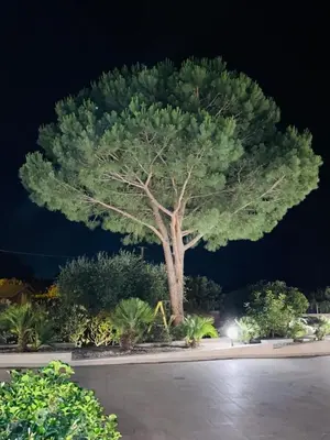Planimetria di Case Vesta