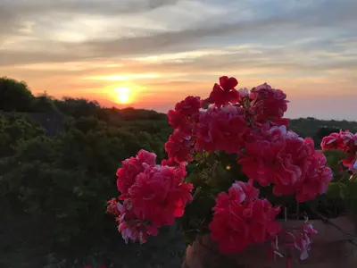 Alba o tramonto visti dall'interno of country house o dai dintorni