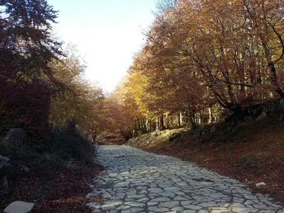 Paesaggio naturale nelle vicinanze dell'appartamento