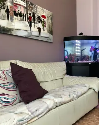 TV o dispositivi per l'intrattenimento presso Casa Aurora