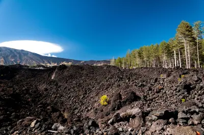 Paesaggio naturale nelle vicinanze dell'appartamento