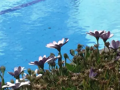 Paesaggio naturale nelle vicinanze del bed & breakfast