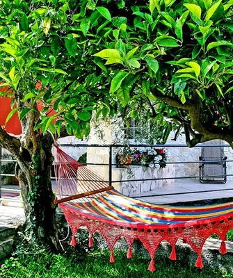 Giardino di B&B Welcome