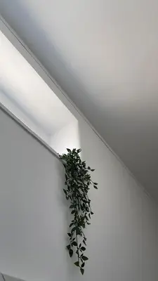 Planimetria di Casa Sofia