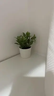 Planimetria di Casa Sofia