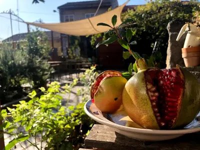 Cibo presso il bed & breakfast o nelle vicinanze