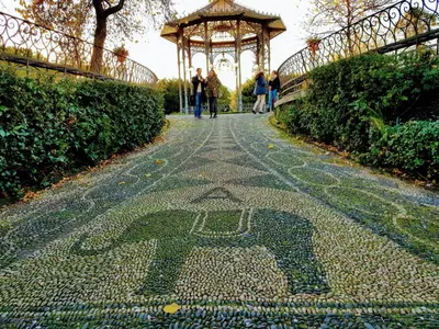Giardino di CentroCittà Suite