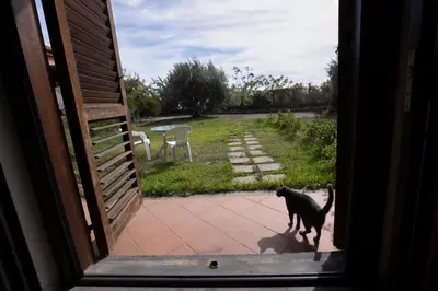 Ospiti di La Circumetnea Home con animali domestici