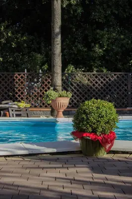 Piscina di B&B Etna House o nelle vicinanze