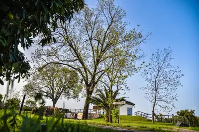 Giardino di AGRO Sicily