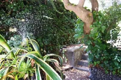 Giardino di Rosso Vulcano