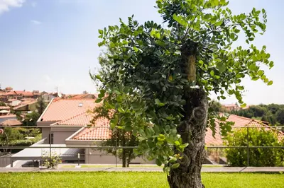 Edificio in cui si trova la casa vacanze