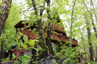 Paesaggio naturale nelle vicinanze dello chalet