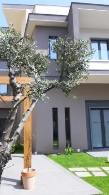 Edificio in cui si trova il bed & breakfast